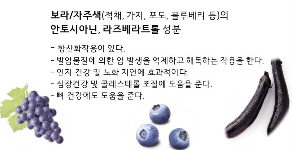 오색채 이미지