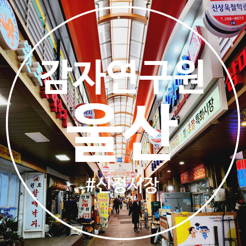 이레손칼국수 이미지
