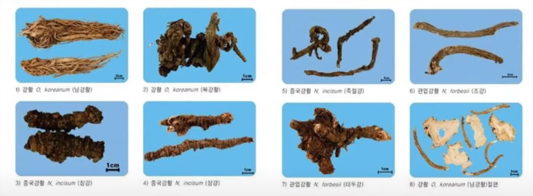 (유)장강 이미지