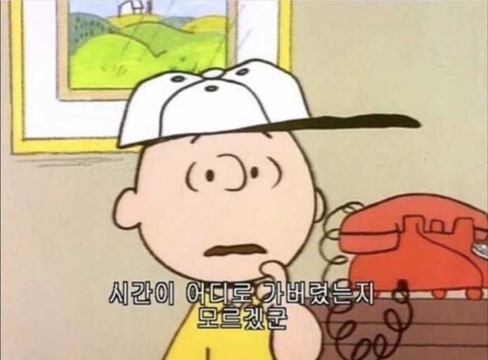 티드빗 이미지