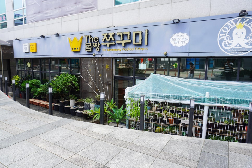 더몸짱쭈꾸미 이미지