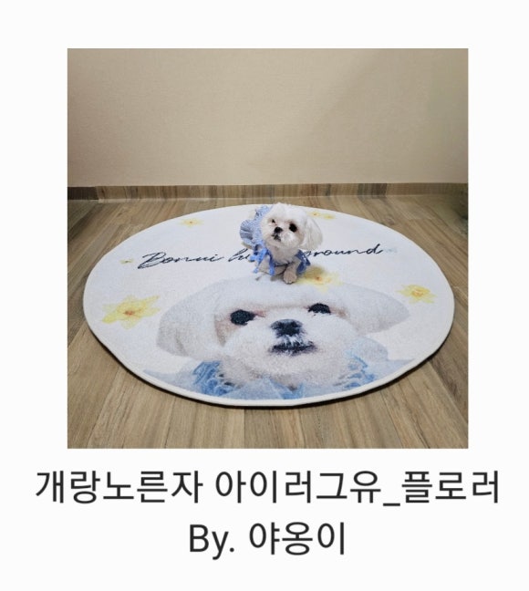 아이러그유 이미지