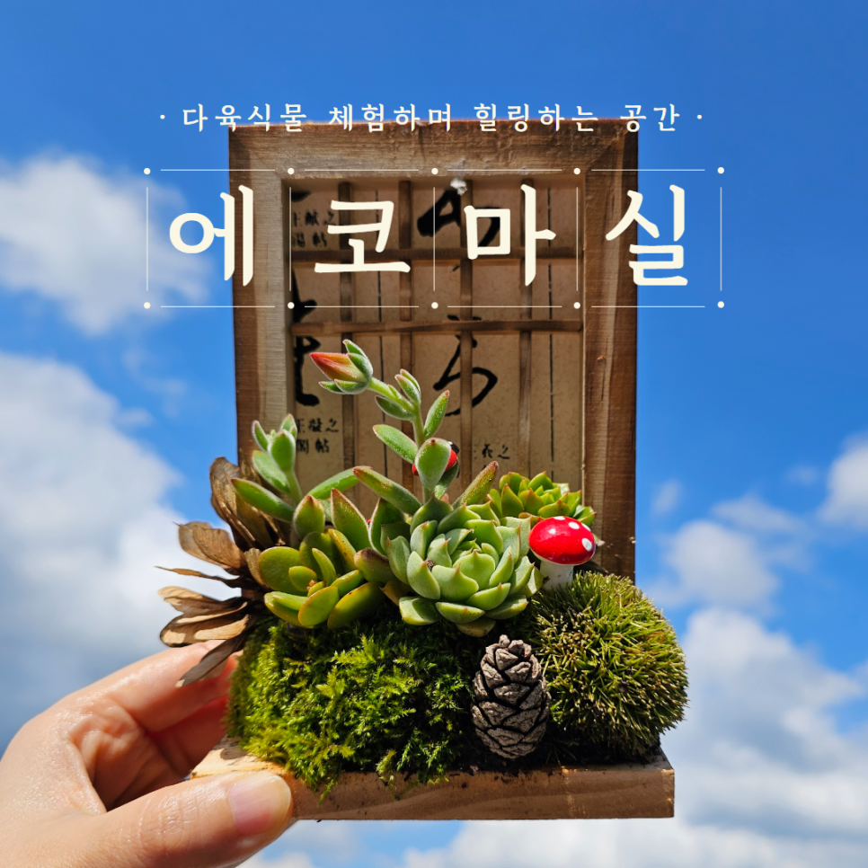 마실다육 이미지