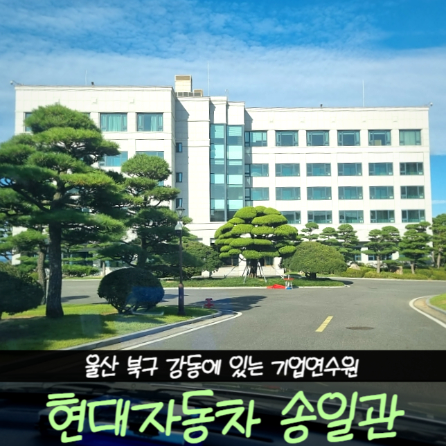 송일관 이미지