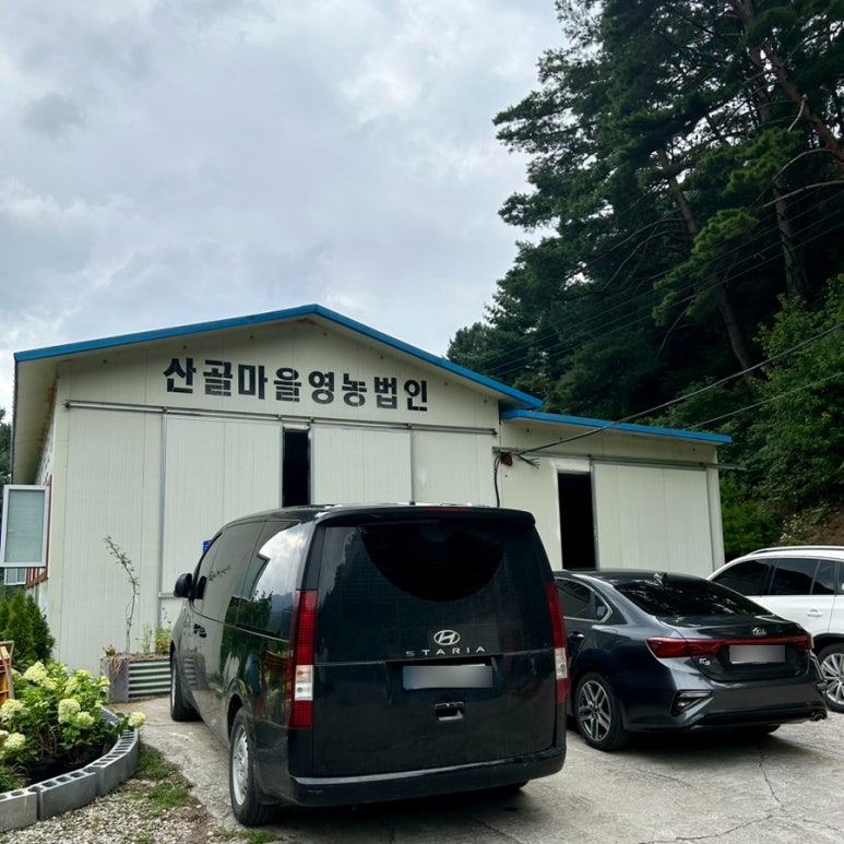 밭멍 이미지