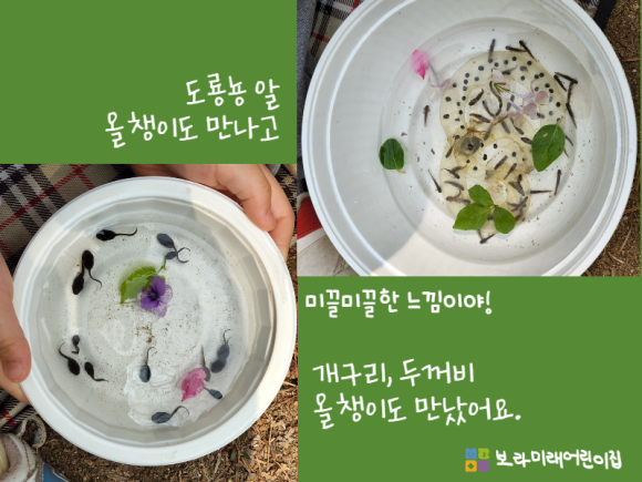 쌍용어린이집 이미지