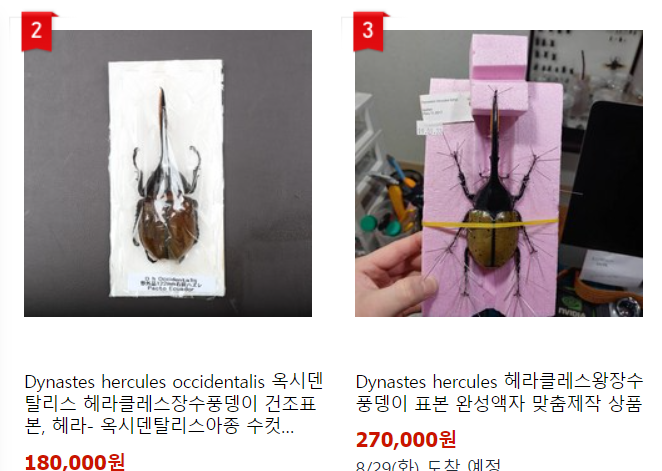 헤라클레스광고 이미지