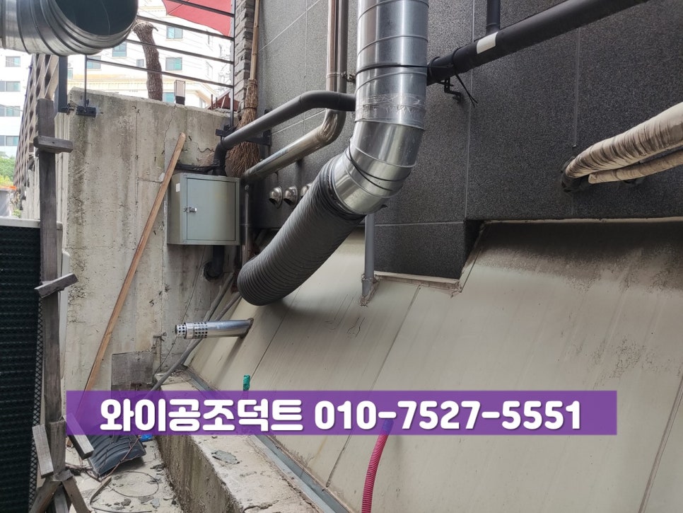 대보칼국수 이미지