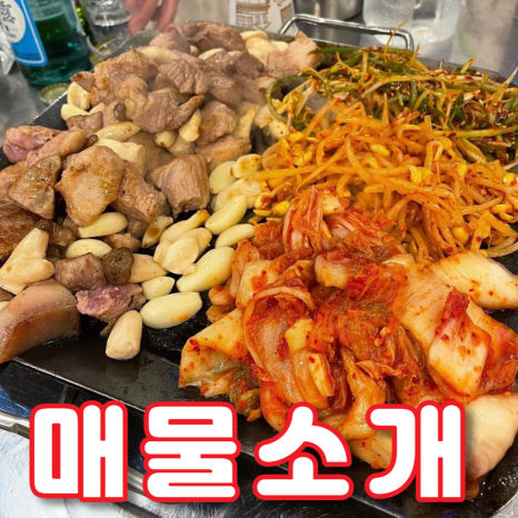 안정뒷고기 이미지