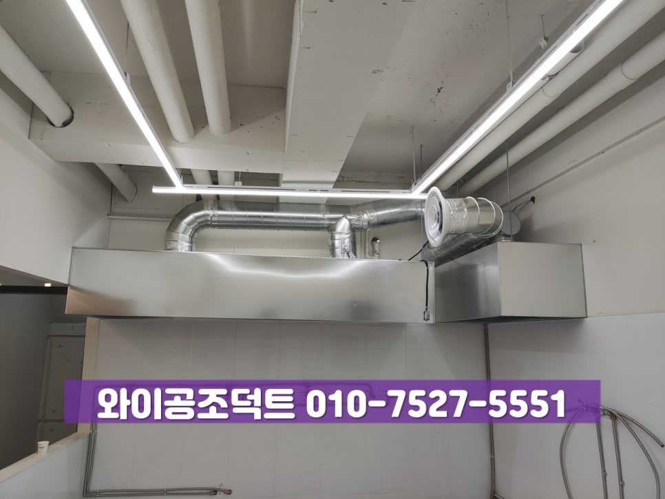 대보칼국수 이미지