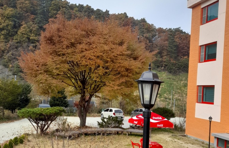 성심단식원 이미지