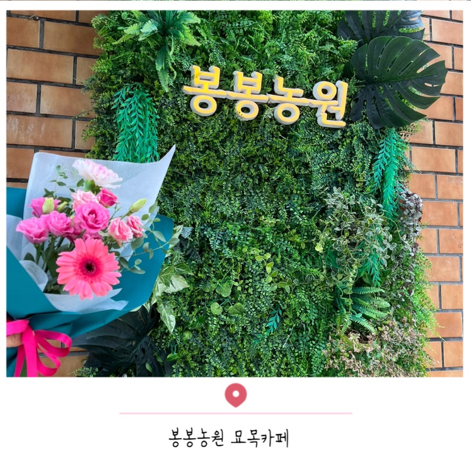 봉봉농원묘목카페 이미지
