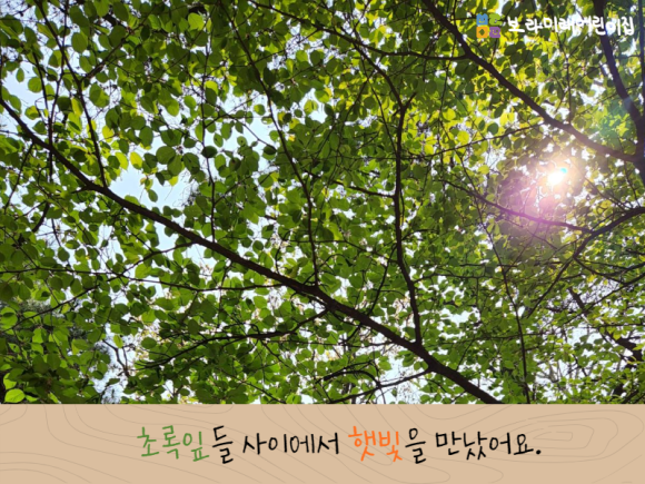 쌍용어린이집 이미지