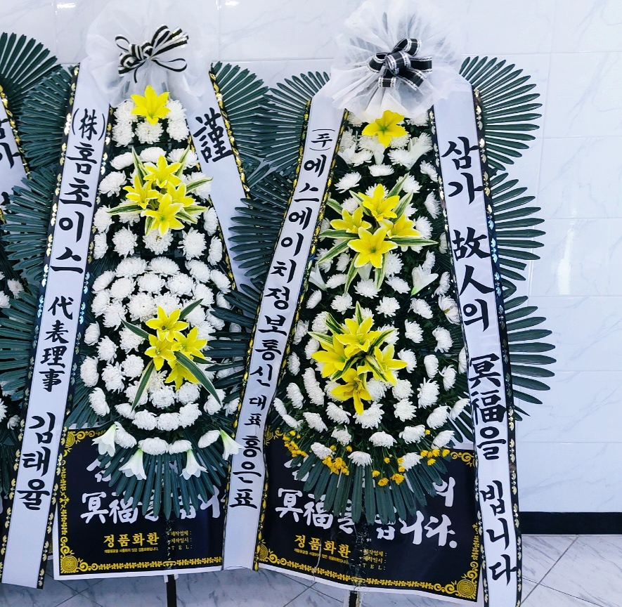 웰니스플라워 이미지