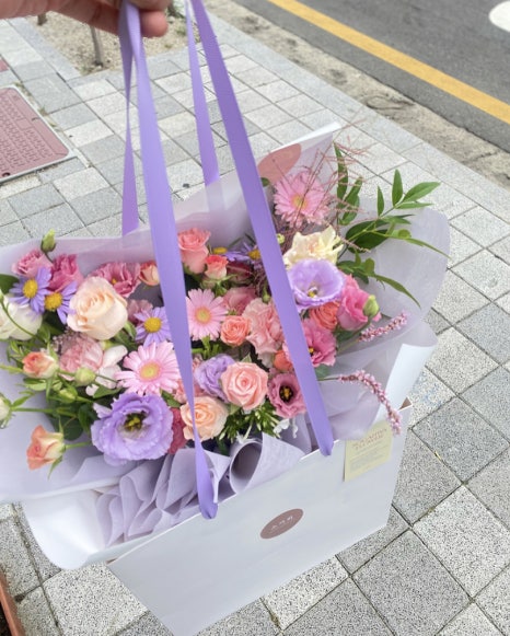 소가화 이미지