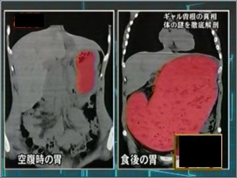 디엠짐 이미지