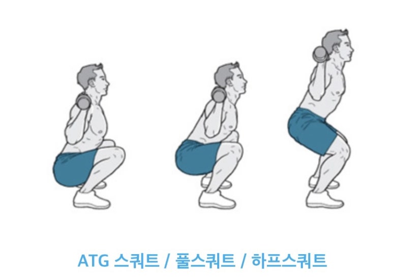 풀하프쿼터 이미지