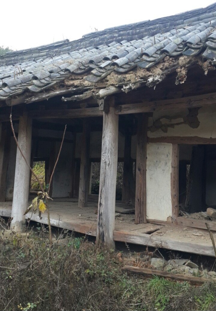 월곡정사 이미지
