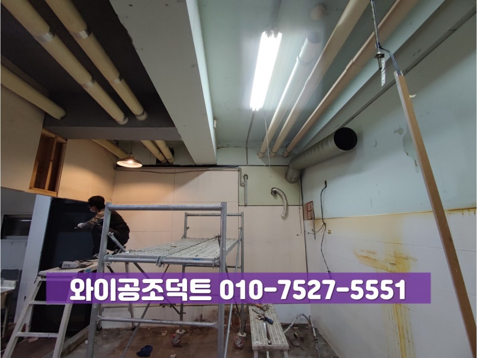 대보칼국수 이미지