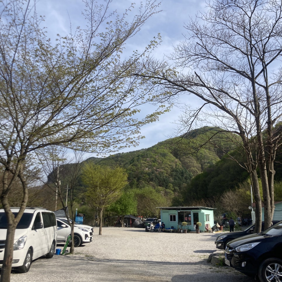 담터 금학캠핑장 이미지