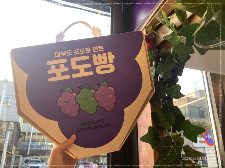 포도빵집 이미지
