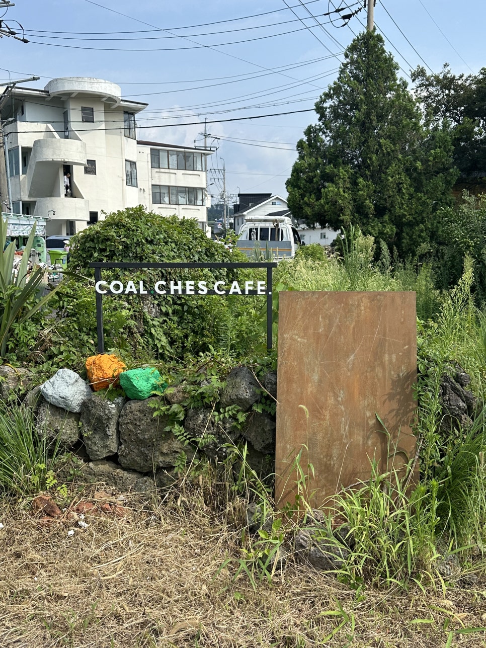 체스(CHES) 이미지