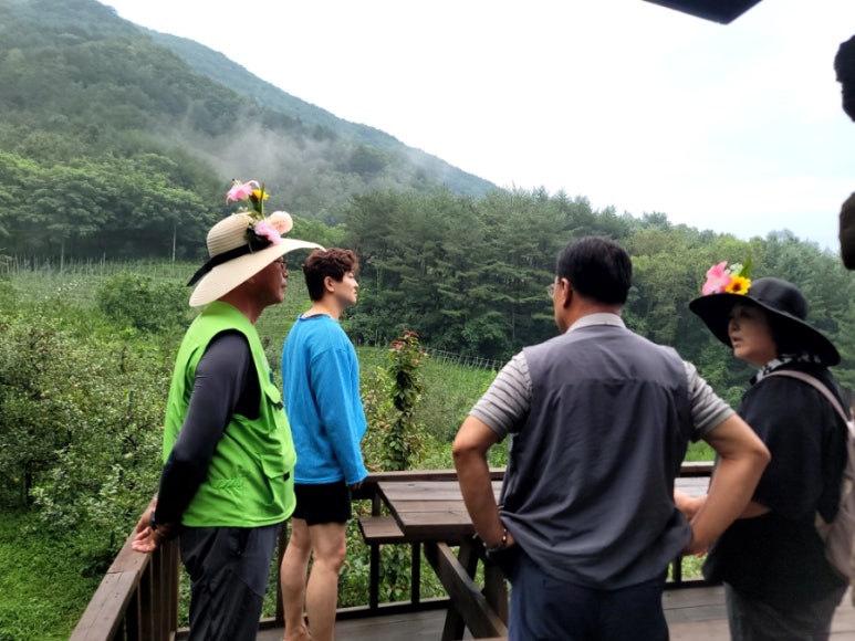 주식회사 한국산삼공사 이미지