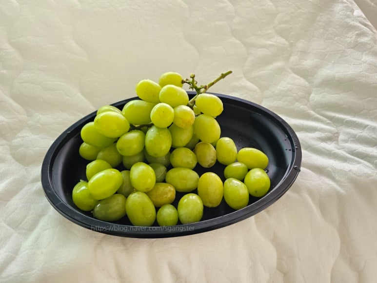 삼일농산 이미지