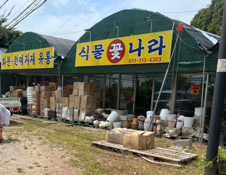 식물꽃나라 이미지