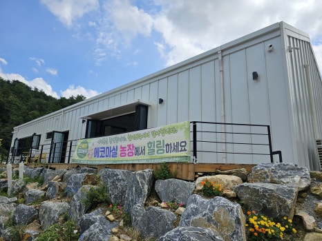 마실다육 이미지