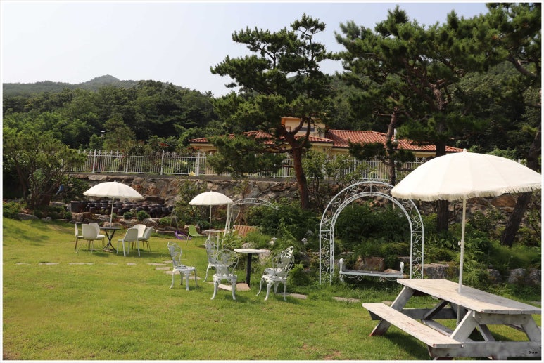 마니산도토리 이미지