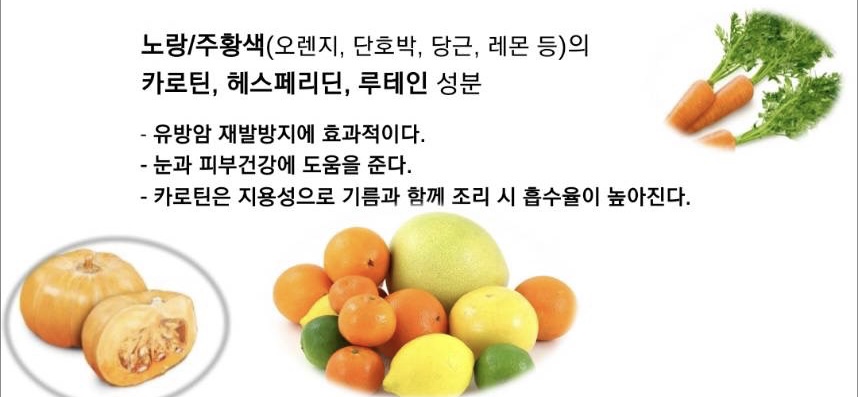 오색채 이미지