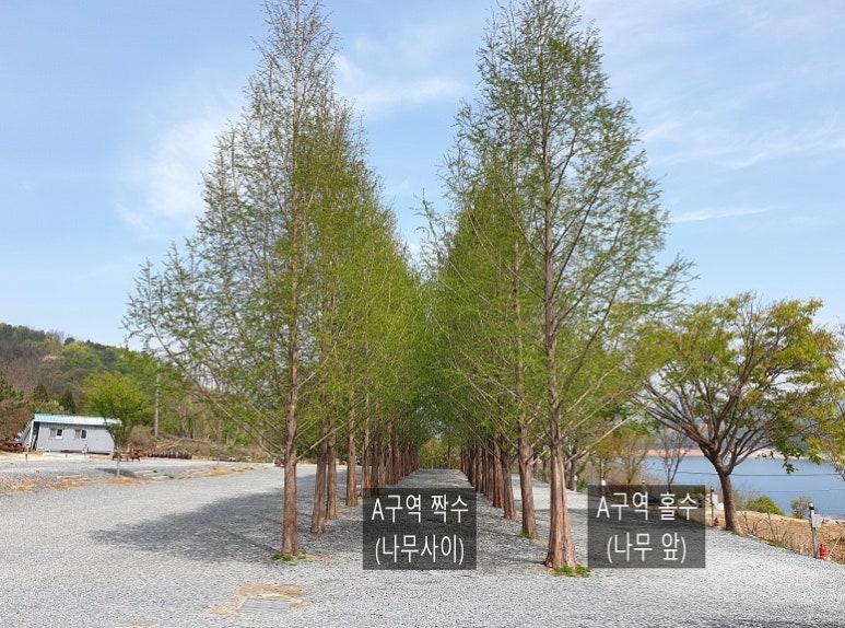 호반오토캠핑장 이미지