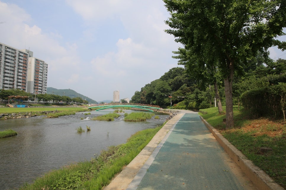 백세투어 이미지
