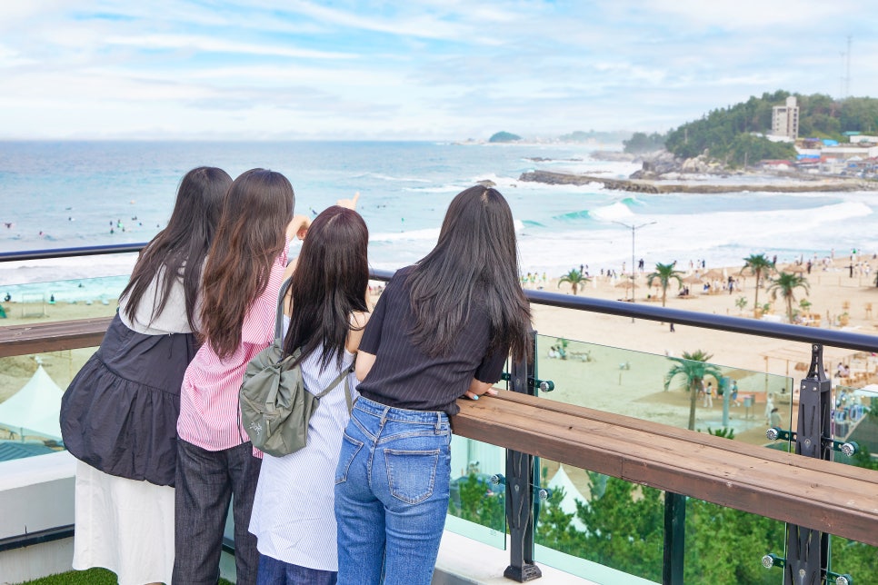 양양플랫폼 이미지