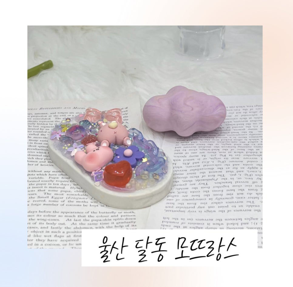 모뜨랑스 이미지