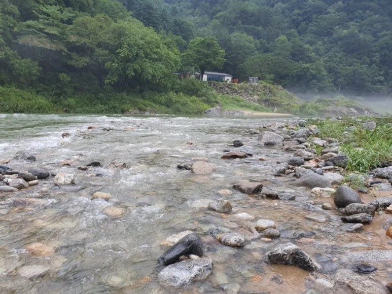 미산분교캠핑장 이미지