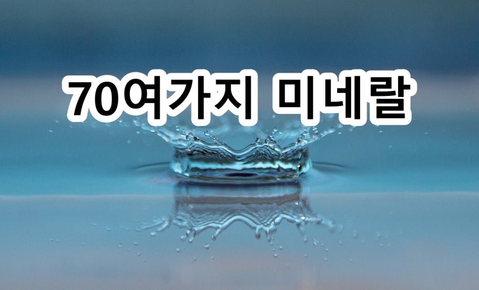 제이엠와이 이미지