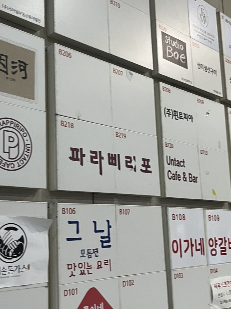 파라삐리포 이미지