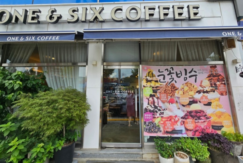 원앤식스 이미지