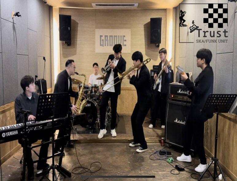청춘갈매기 이미지