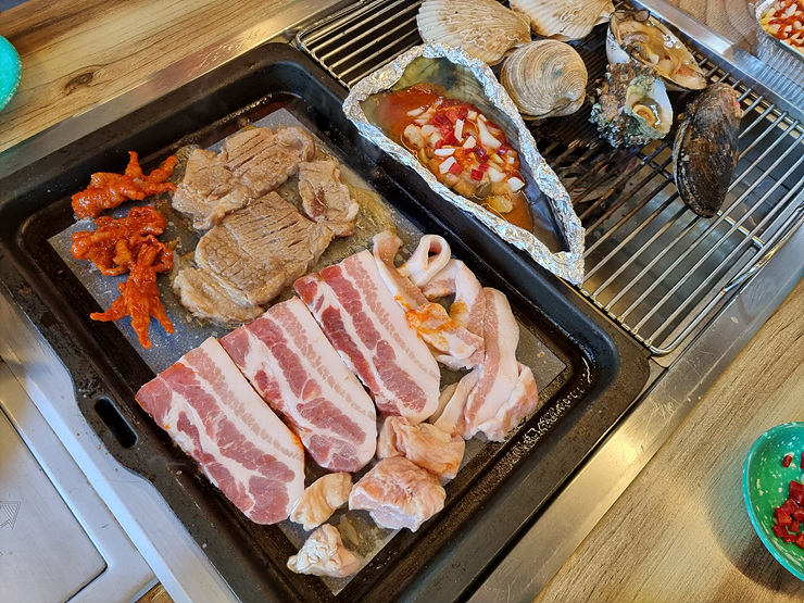 바다나무 이미지