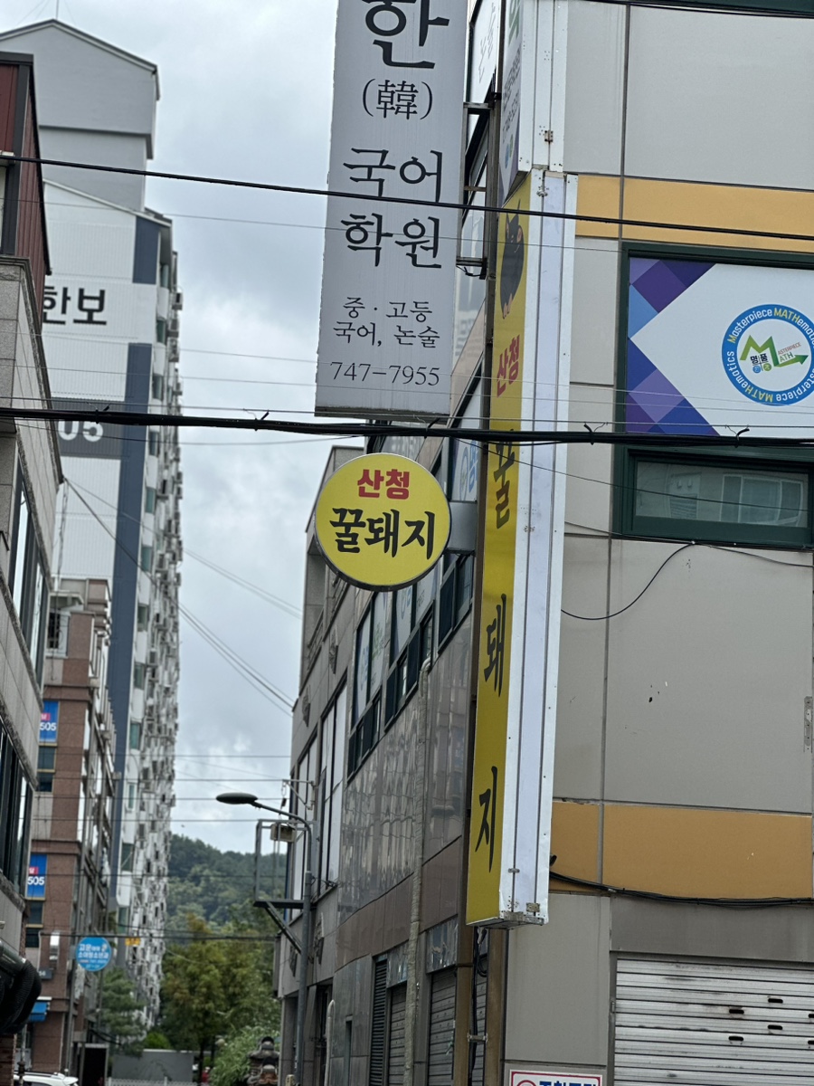 산청꿀돼지 이미지
