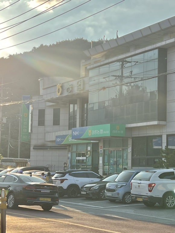 강릉농협정동지점 이미지