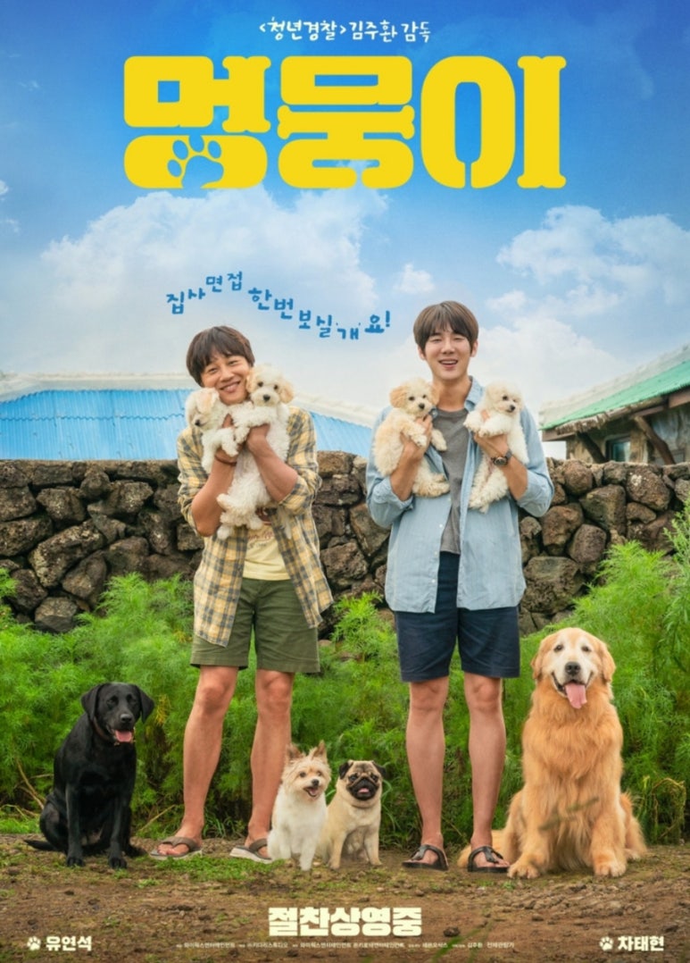 핀아 이미지