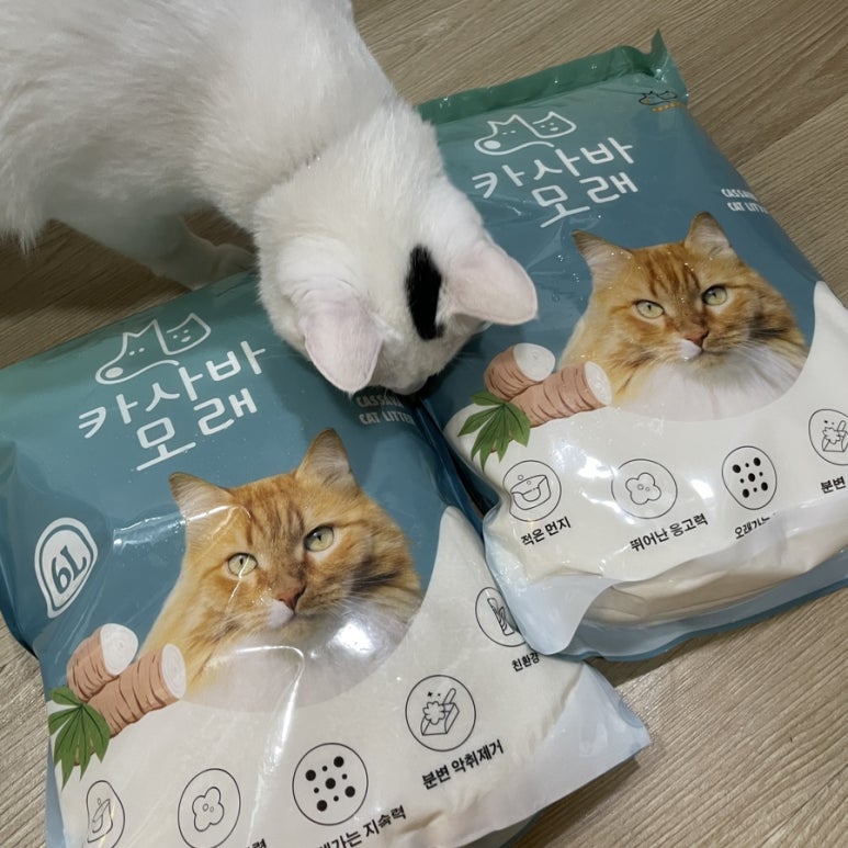 김케이알 이미지