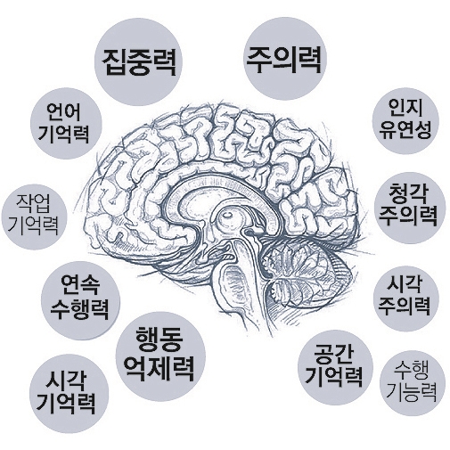 신바람민요교실 이미지
