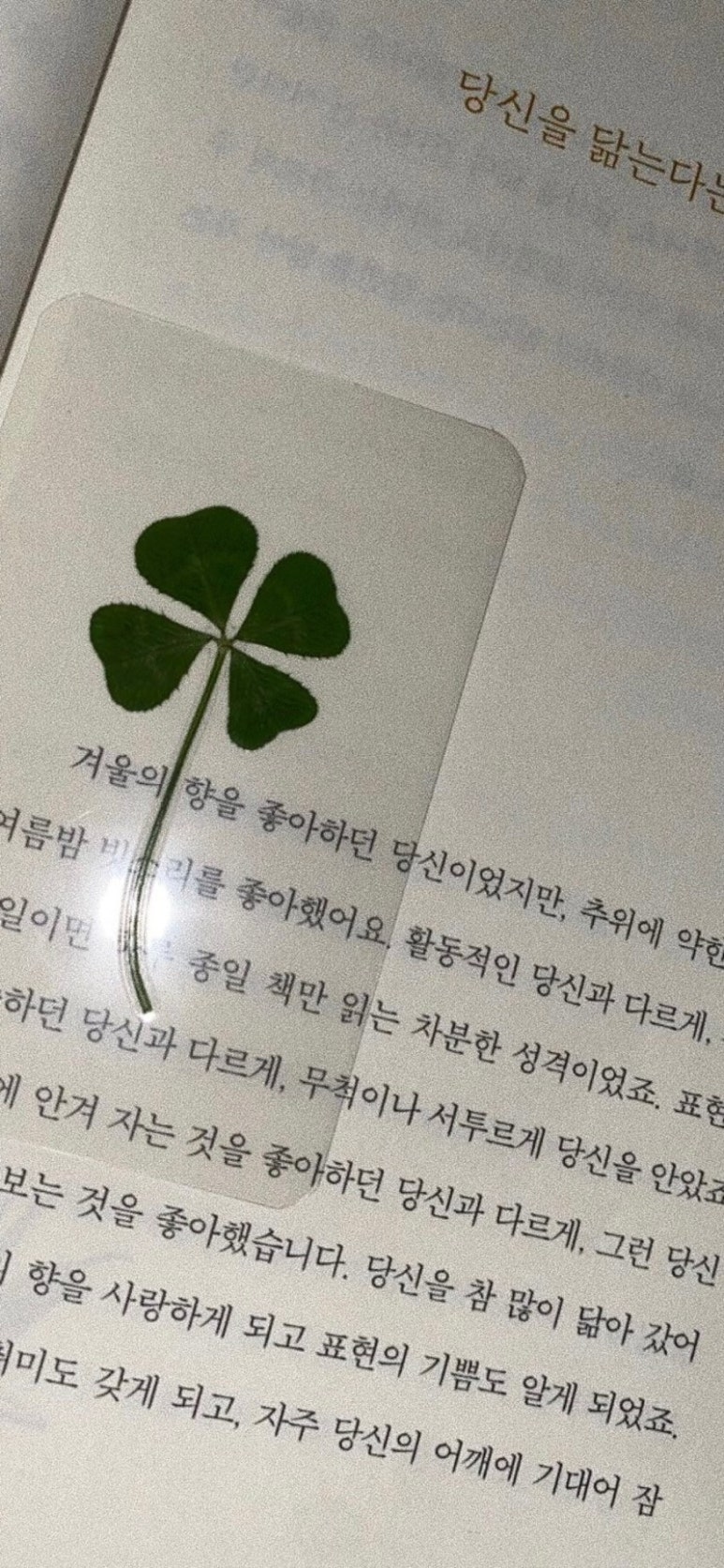 오히츠 이미지