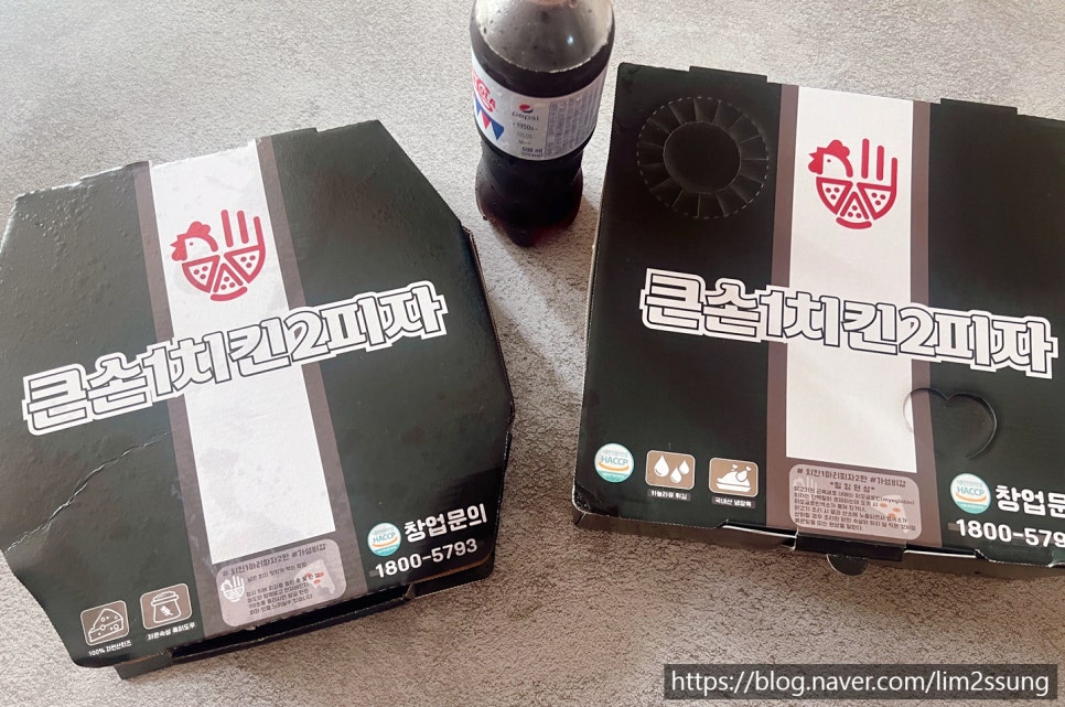 큰손1치킨2피자 대구율하점 이미지