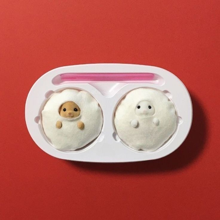 얼크니손칼국수 이미지